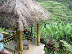 オプショナルツアーイメージ