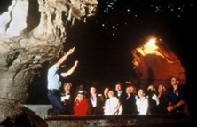 ワイトモ・ロトルア　１日観光 イメージ