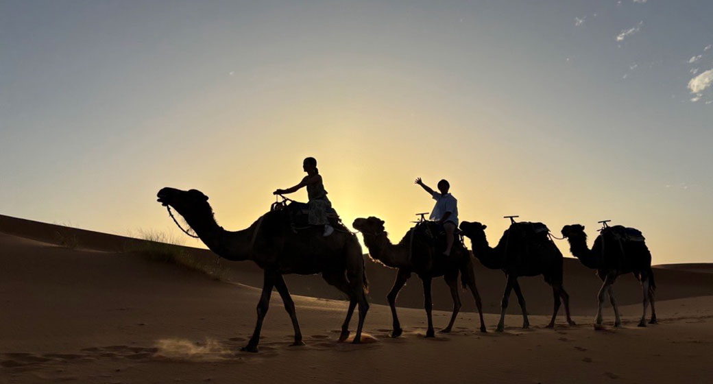 サハラ砂漠 サンライズ又はサンセット キャメルトレッキング